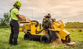 Stump Grinder For Sale